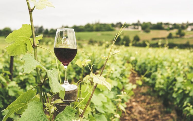 Gjør deg klar for den “nye” vin